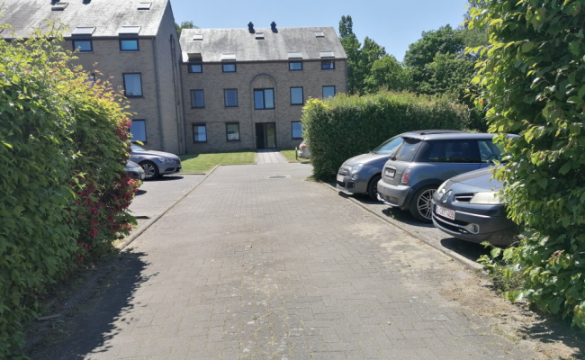 IMG_20230531_133928_resized_20230531_062036866