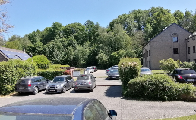 IMG_20230531_134517_resized_20230531_062036263