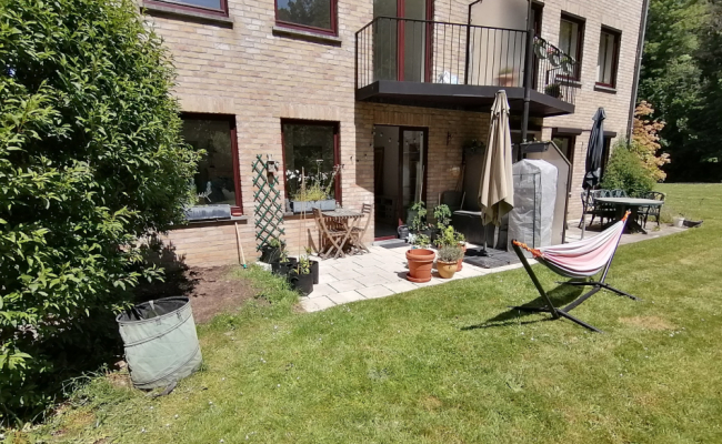 IMG_20230531_141416_resized_20230531_061749417