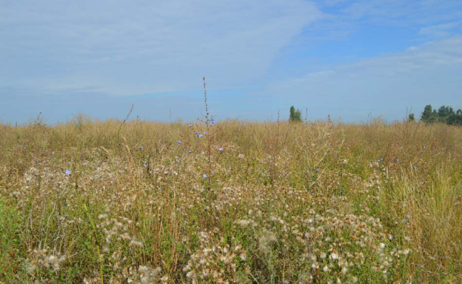 Terrain en vente à Huppaye, rue de Jodoigne