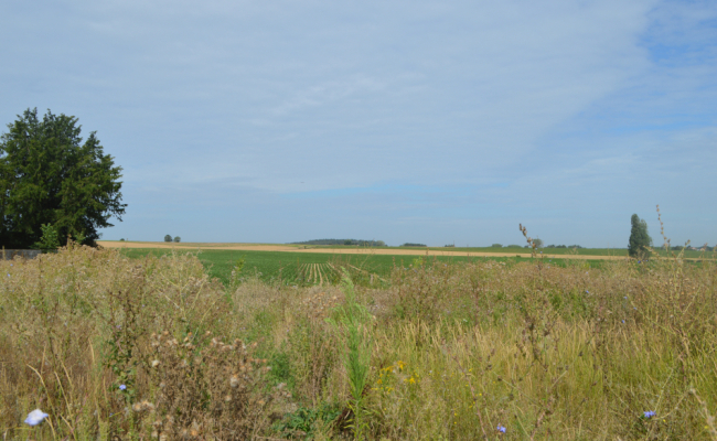 Vue arrière vers les champs du terrain à vendre à Huppaye