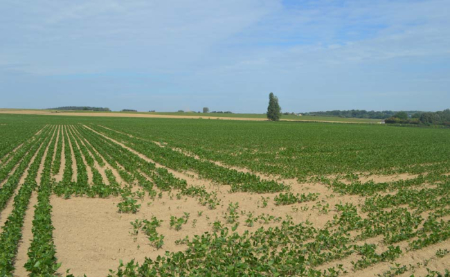 Terrain en vente à Huppaye, rue de Jodoigne