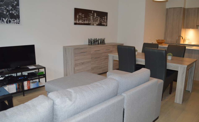 Séjour appartement à vendre à WSL Rendement 4%