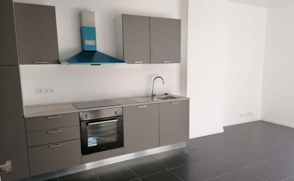 IMG_20201123_114633_resized_20201123_022946393